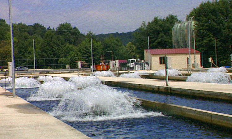 L'élevage de la truite dans une pisciculture - 6mn 52s